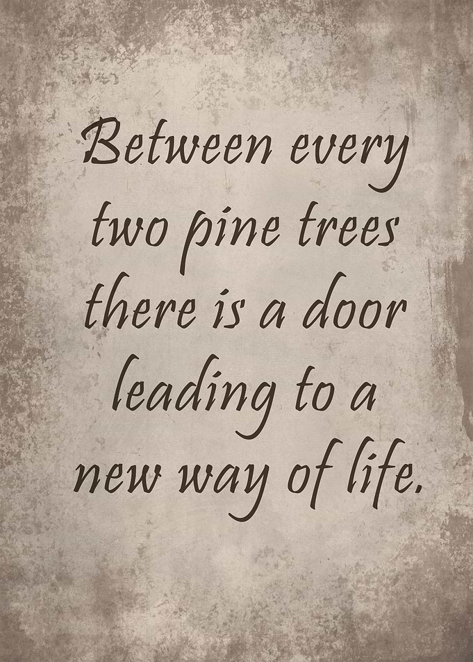 A new way of life