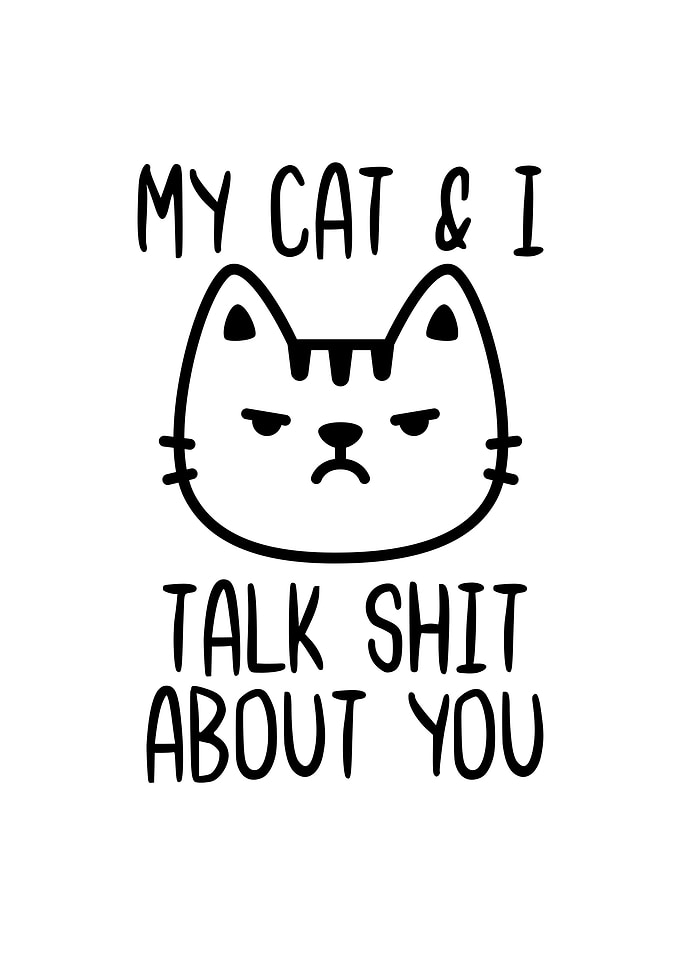 My Cat and I Talk Shit