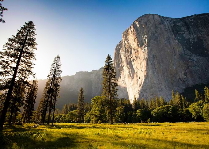 Nature Photography