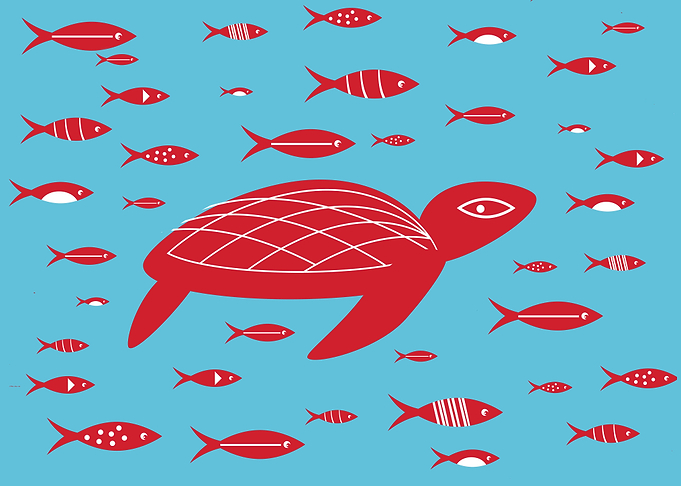 Red Turtle Fish Underwater