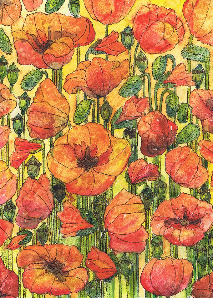 Poppies 1