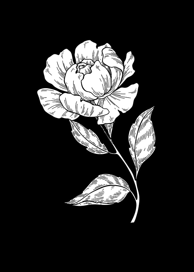 Black Flower