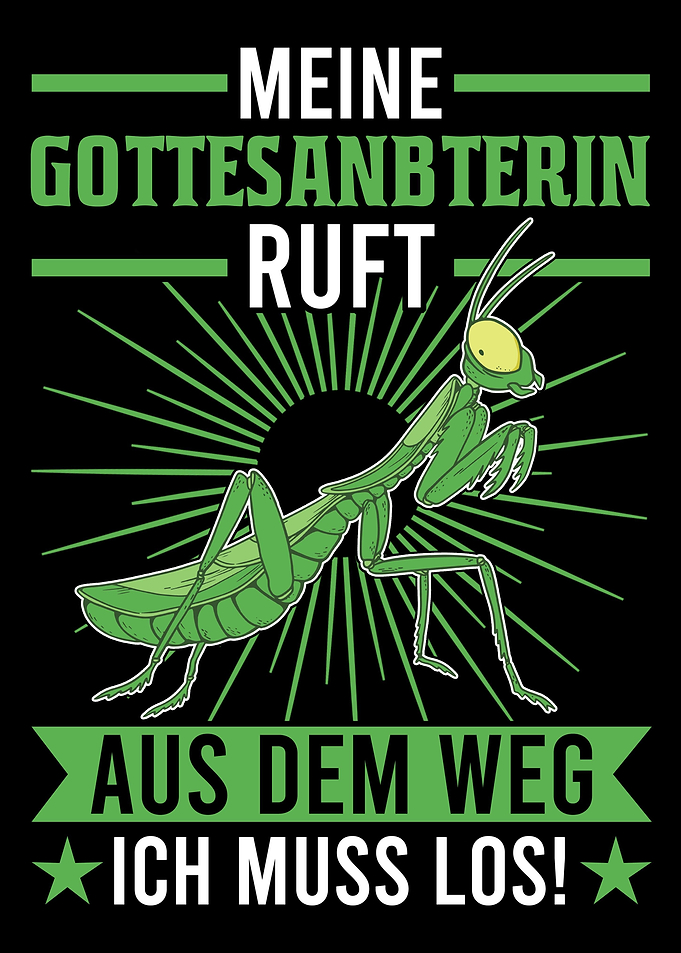Meine Gottesanbeterin ruft