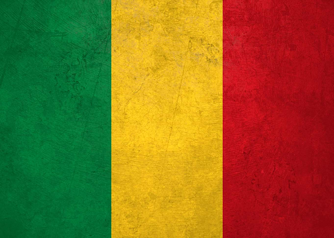 Flag of Mali on Wall