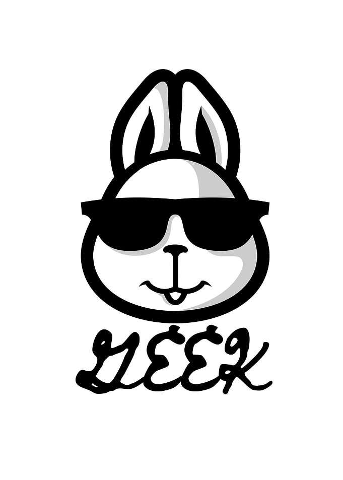 Geek Rabbit Rabbit Lover