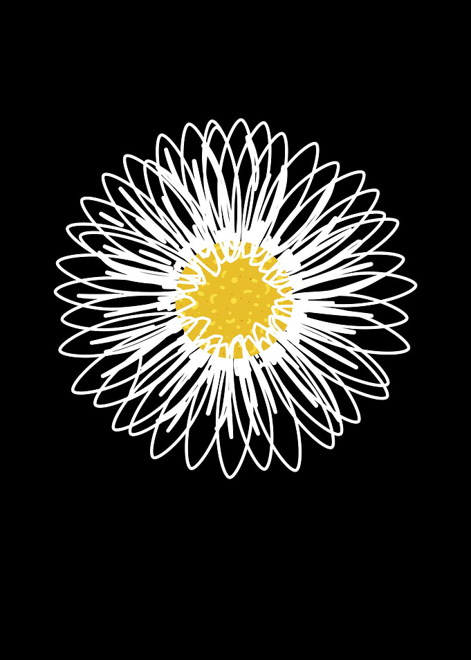 Daisies