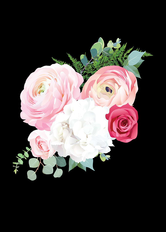 Rose species