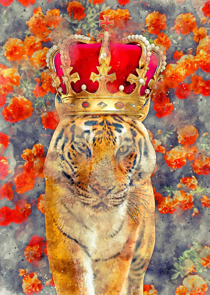 The King Tiger Watercolo