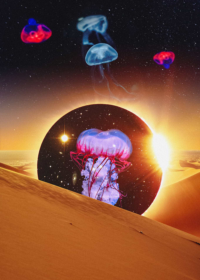 Jellyspace