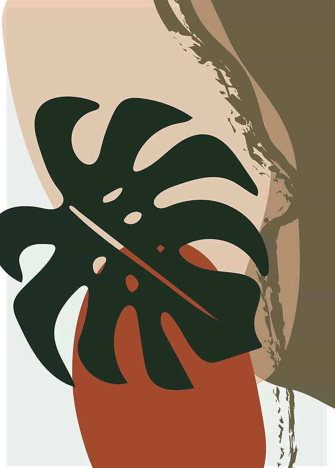 Monstera abstract shapes