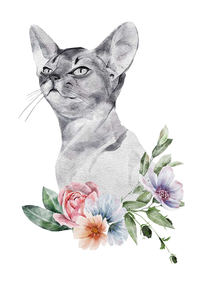 Watercolor paint Cat