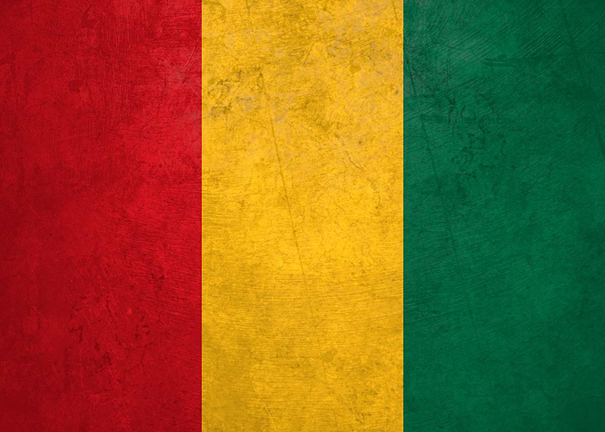Flag of Guinea on Wall