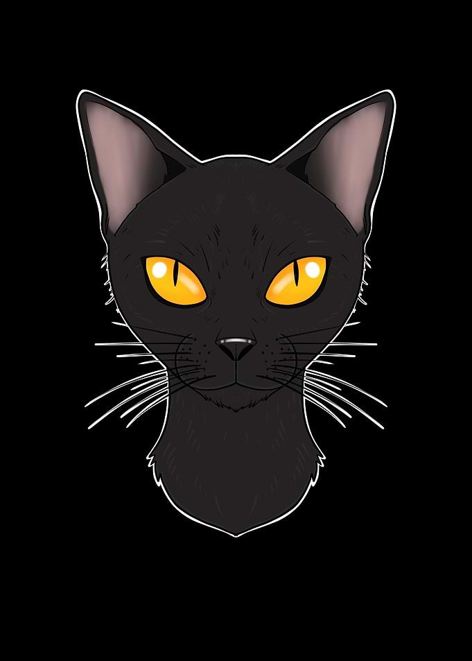 Cat Lover I Bombay Cat