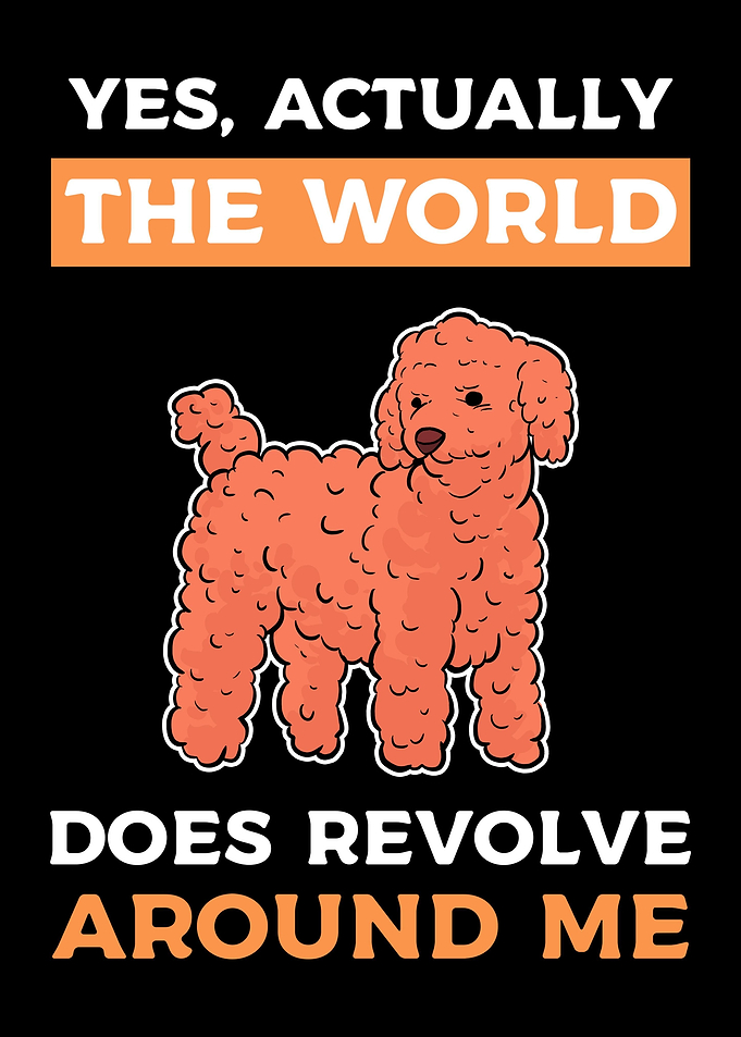 Funny Toy Poodle