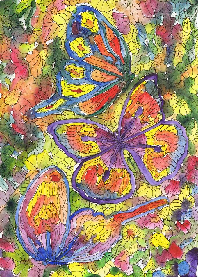 Butterflies 5