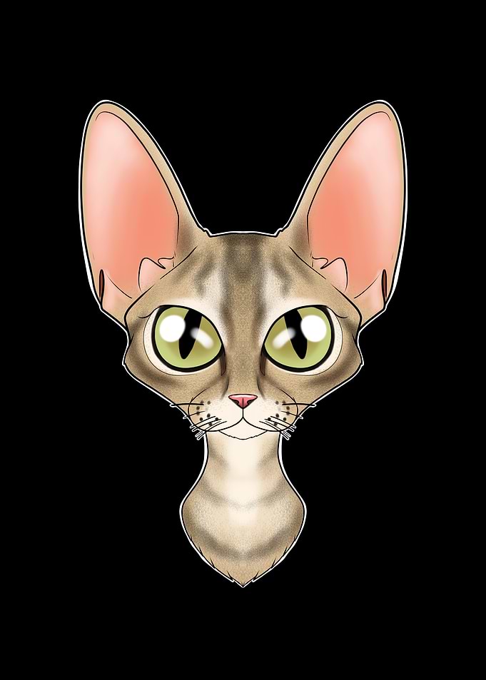 Cat Lover I Devon Rex Cat