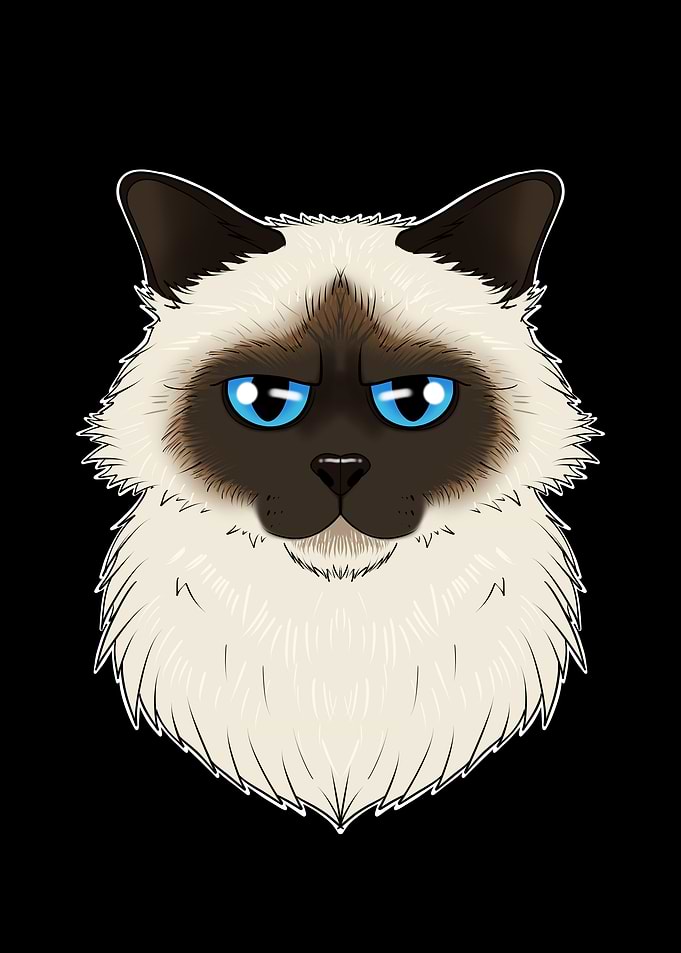 Cat Lover I Birman Cat