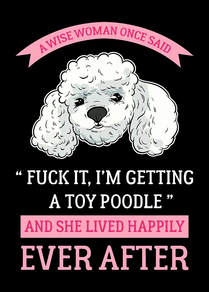 Toy Poodle Owner