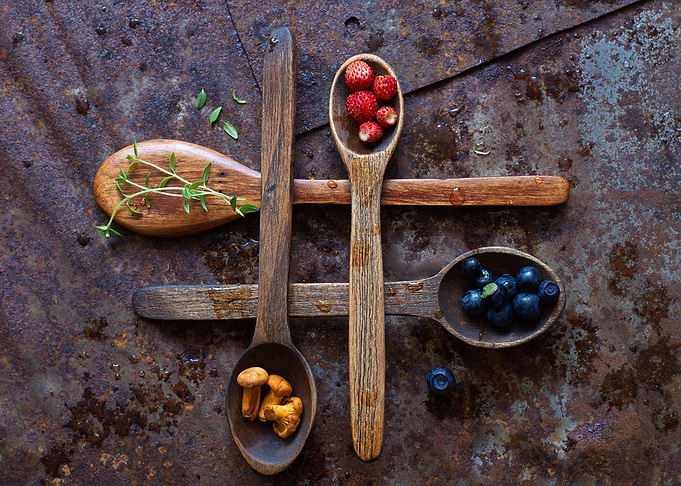 Forest Still Life
