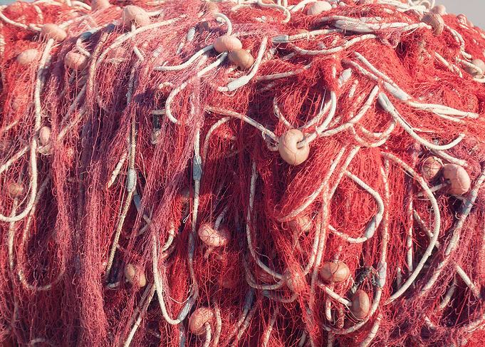 Fishing net tangled det