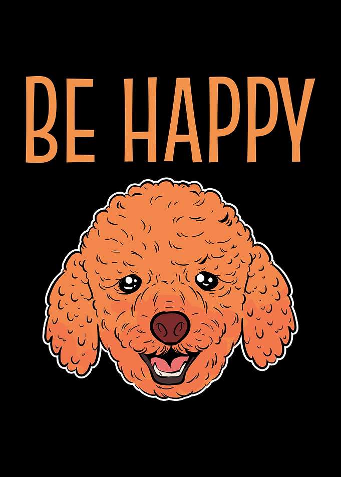 Toy Poodle Be Happy