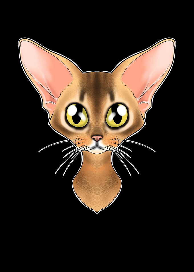 Cat Lover I Abyssinian Cat