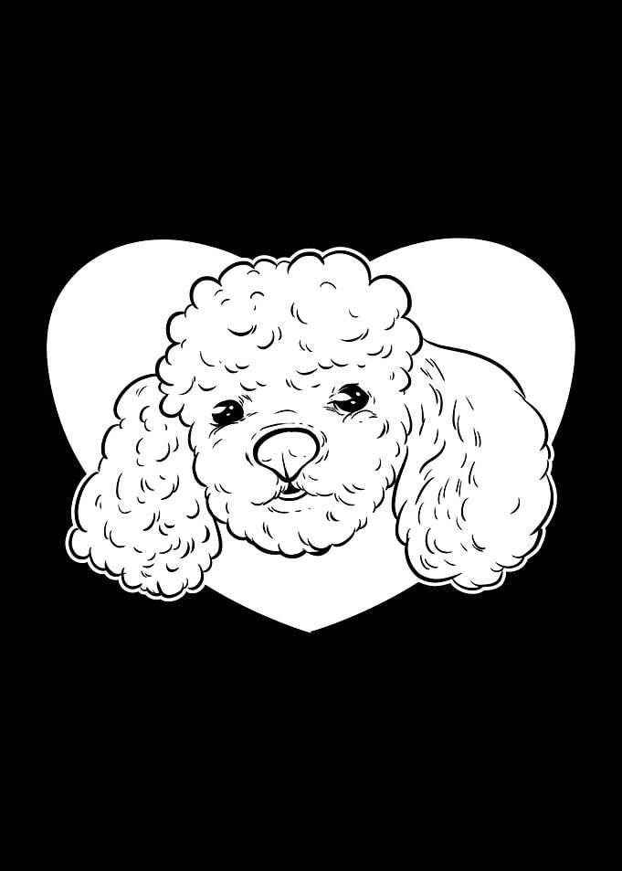I Love Toy Poodle