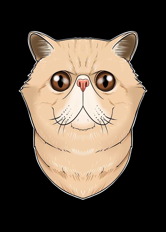 Exotic Shorthair Cat Lover
