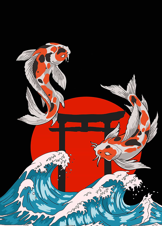 Koi Fish