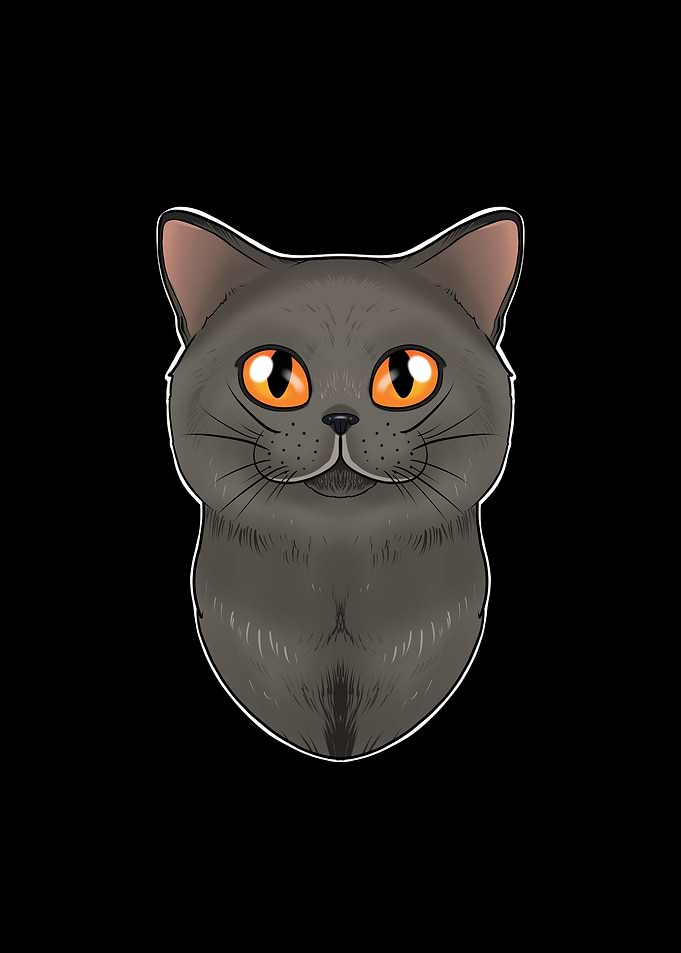 British Shorthair Cat Love