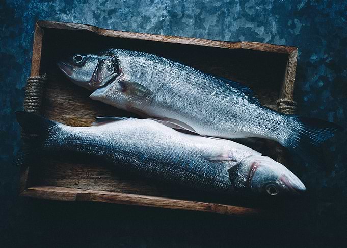 Two fishes