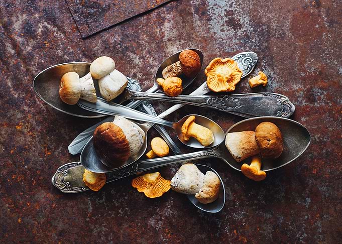 Wild mushrooms