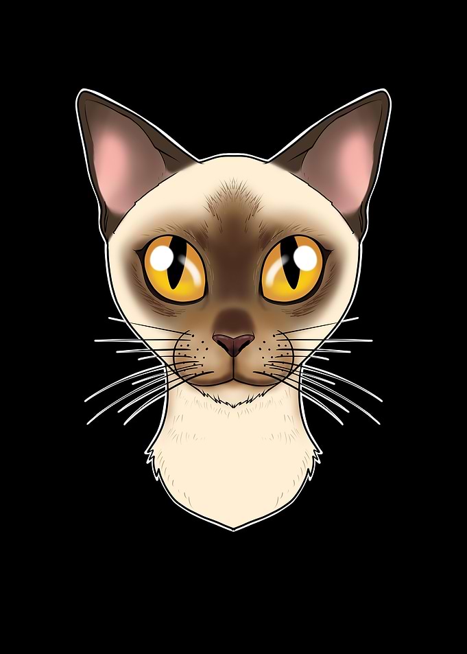 Cat Lover I Burmese Cat