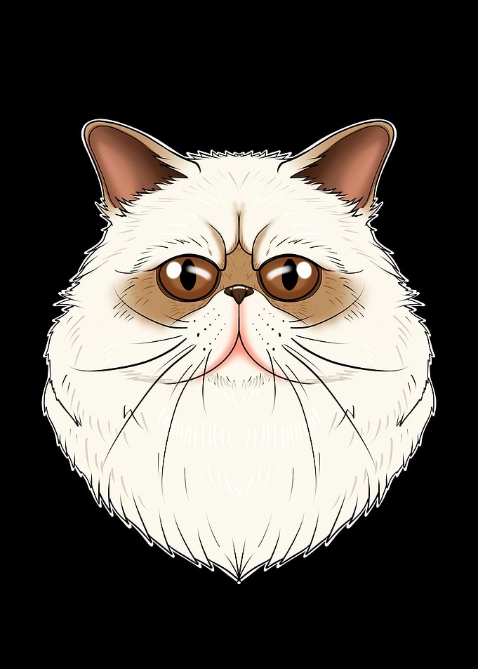 Cat Lover I Himalayan Cat