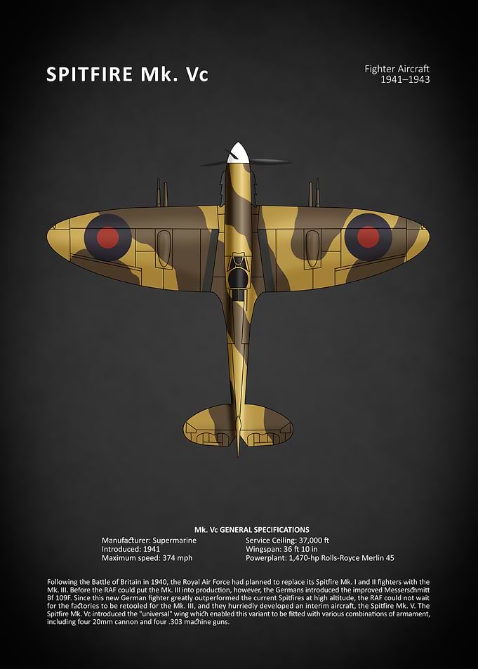 The Spitfire Mk V