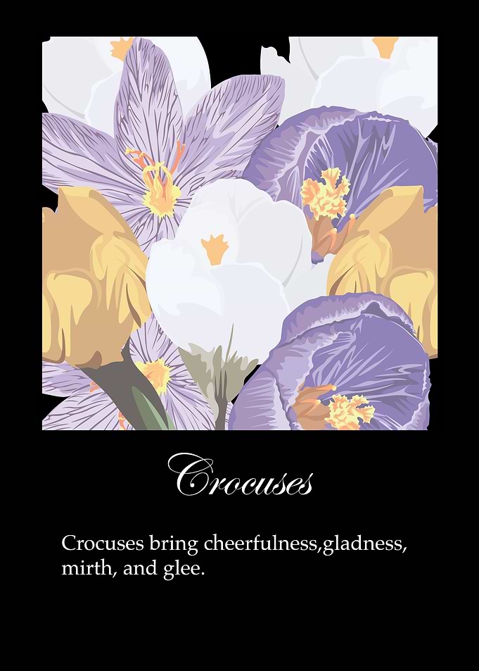 Crocuses poster
