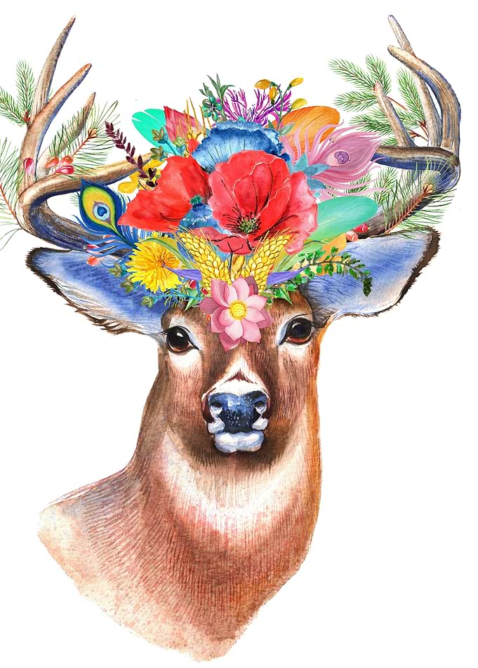 Floral Deer Art