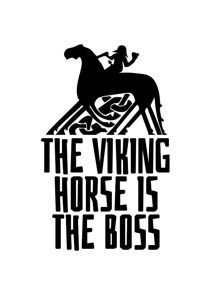 The viking horse