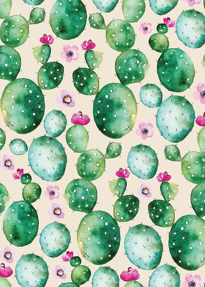 Chi Opuntia