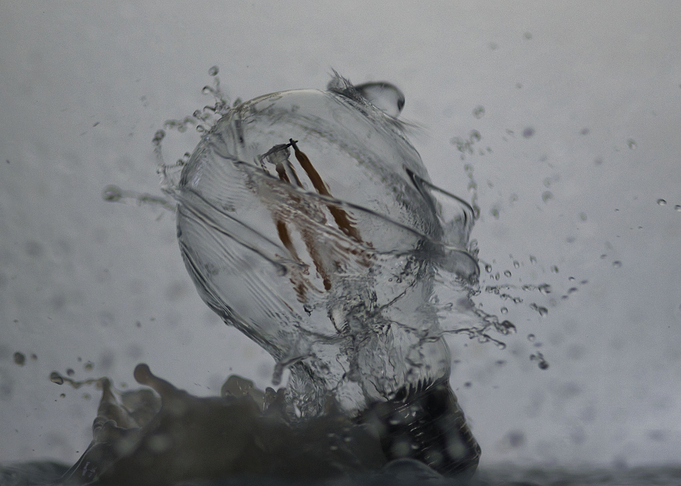 Falling Lightbulb