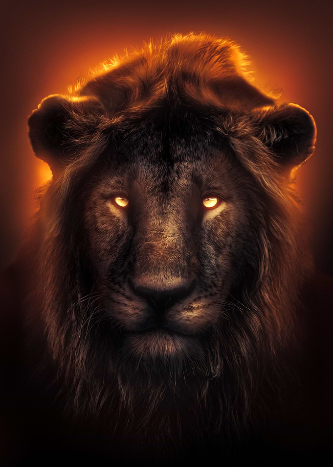 The Lion