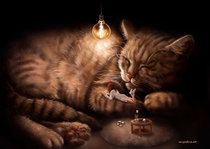 Cosiness