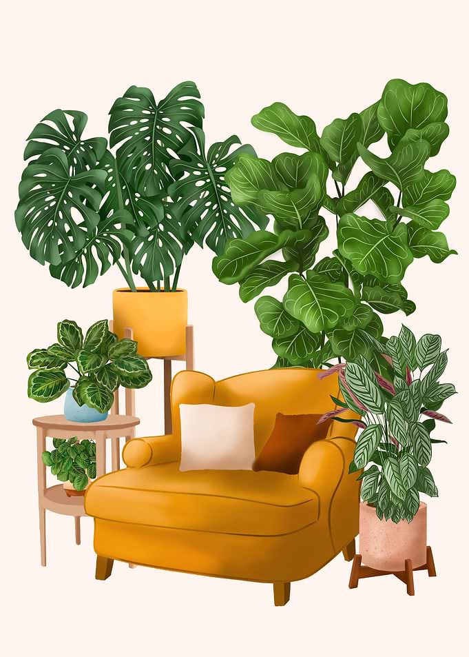 Plants all over the place