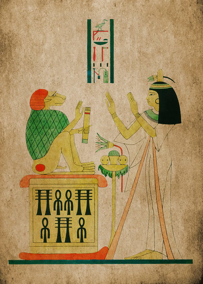 Cynocephalus