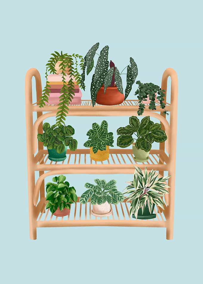 Plant Shelf 10