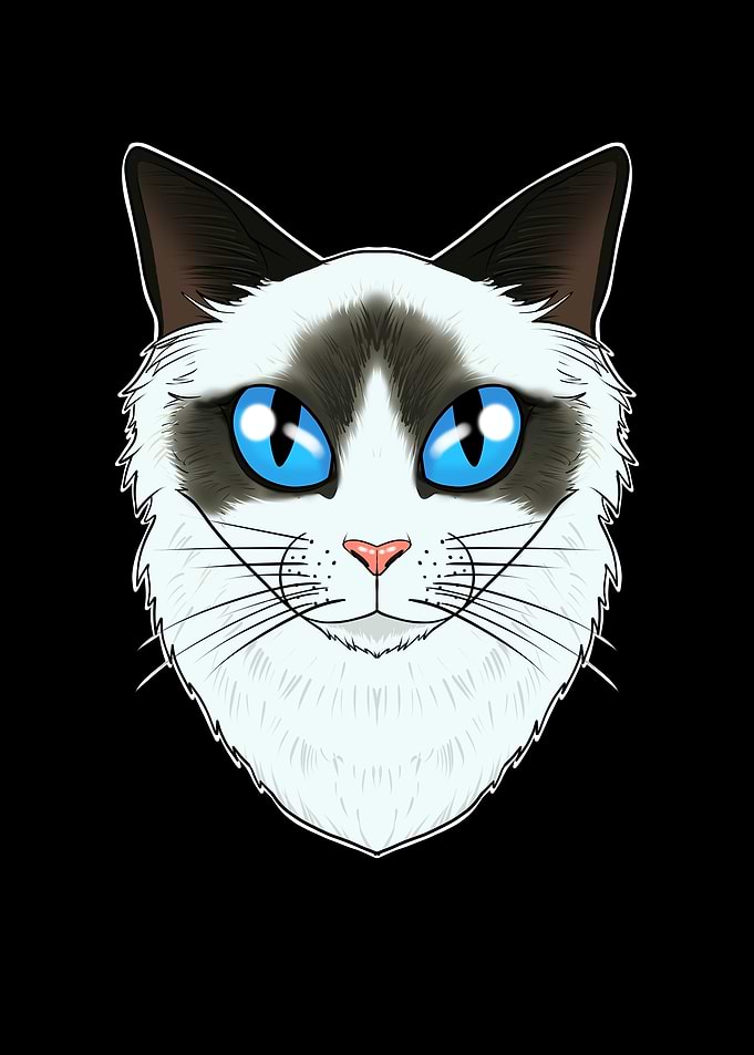 Cat Lover I Ragdoll Cat