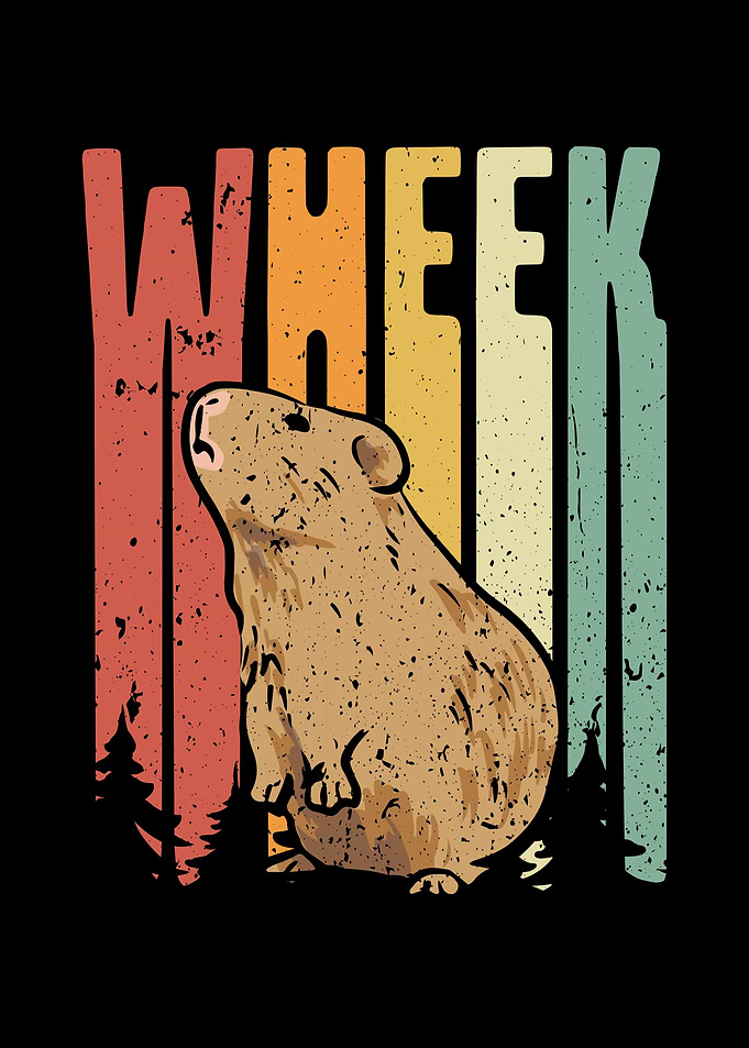 Coloured wheek guinea pig