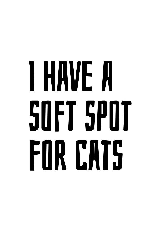 Soft spot for the cats