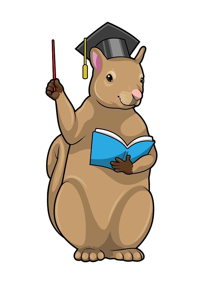 Squirrel Teacher Pointer
