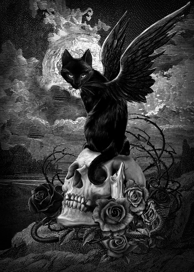 Nine Lives of Poe